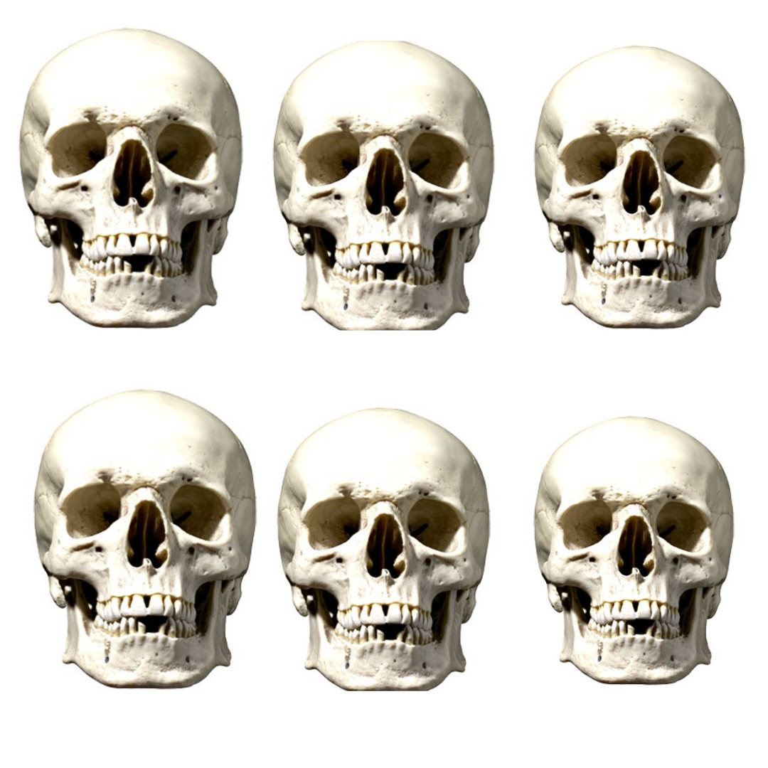 SMP147 Skull - Face Halloween Six Pack Cardboard Face Masks With Tabs and Elastic
